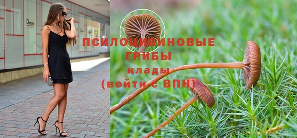 дмт Гусиноозёрск
