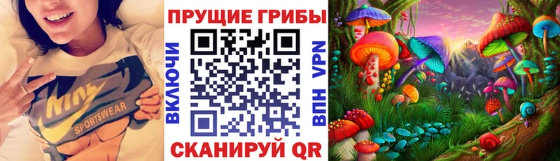 гидра зеркало  где купить наркоту  Енисейск  Галлюциногенные грибы Magic Shrooms 